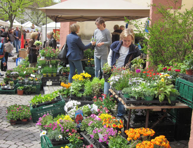 Hügle 6 Mosbach Blumenmarkt 2