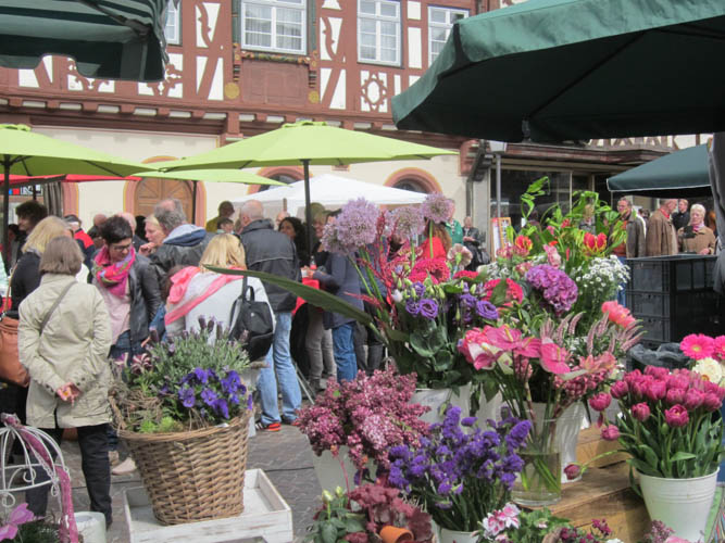 Winter Mokaba 2 Blumenmarkt 2
