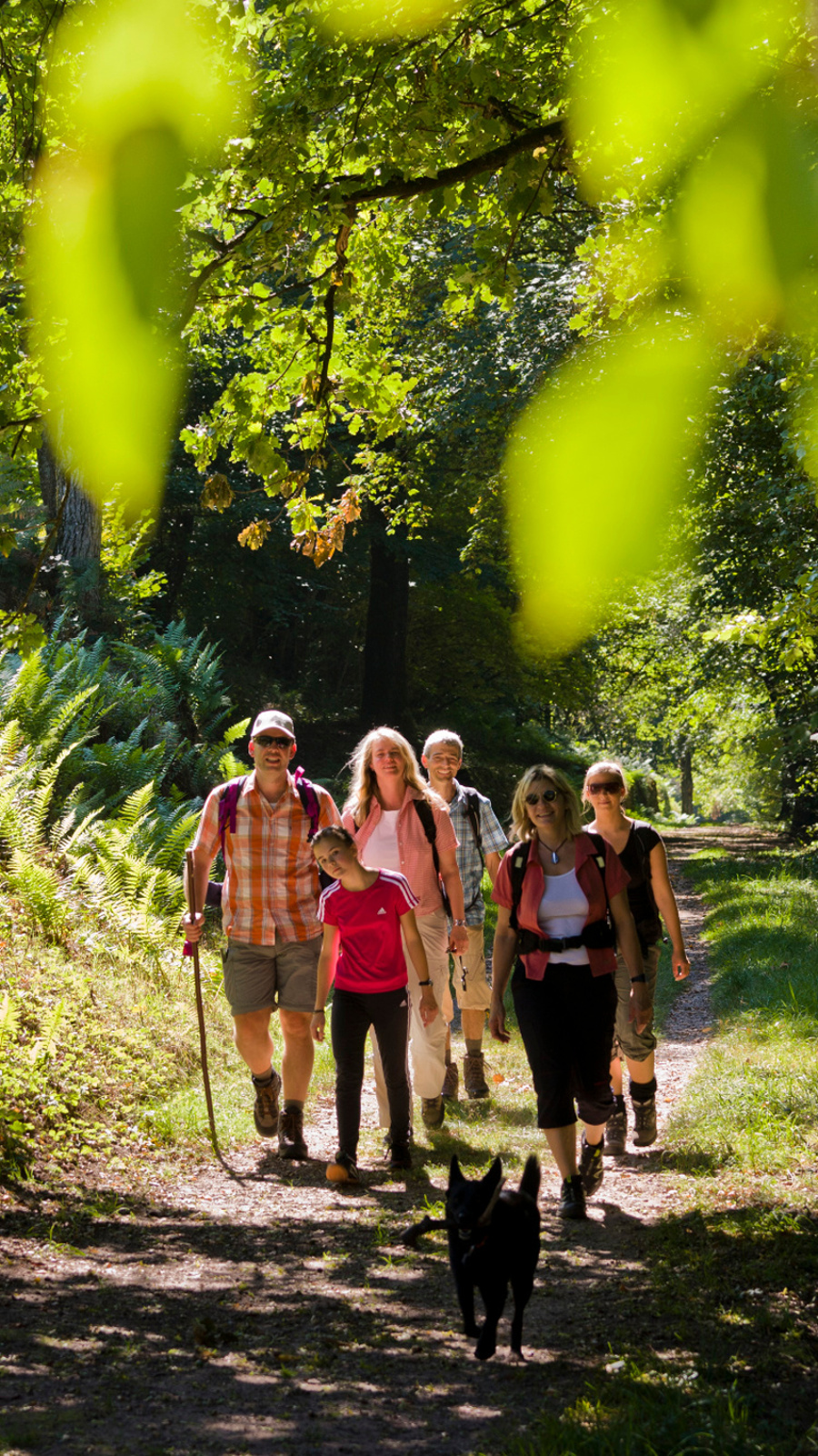 TGO Andreas Held Wandern 6